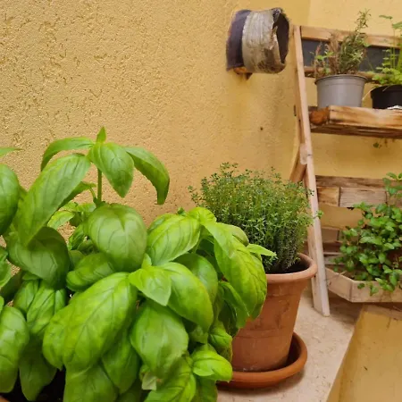 Il Bacio Del Sole Bed & Breakfast Valderice