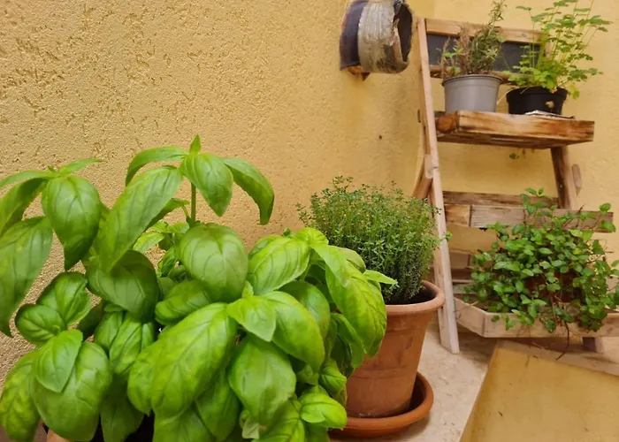 Il Bacio Del Sole Bed & Breakfast Valderice